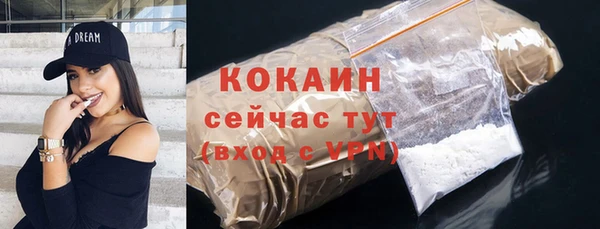 соль ск Туринск